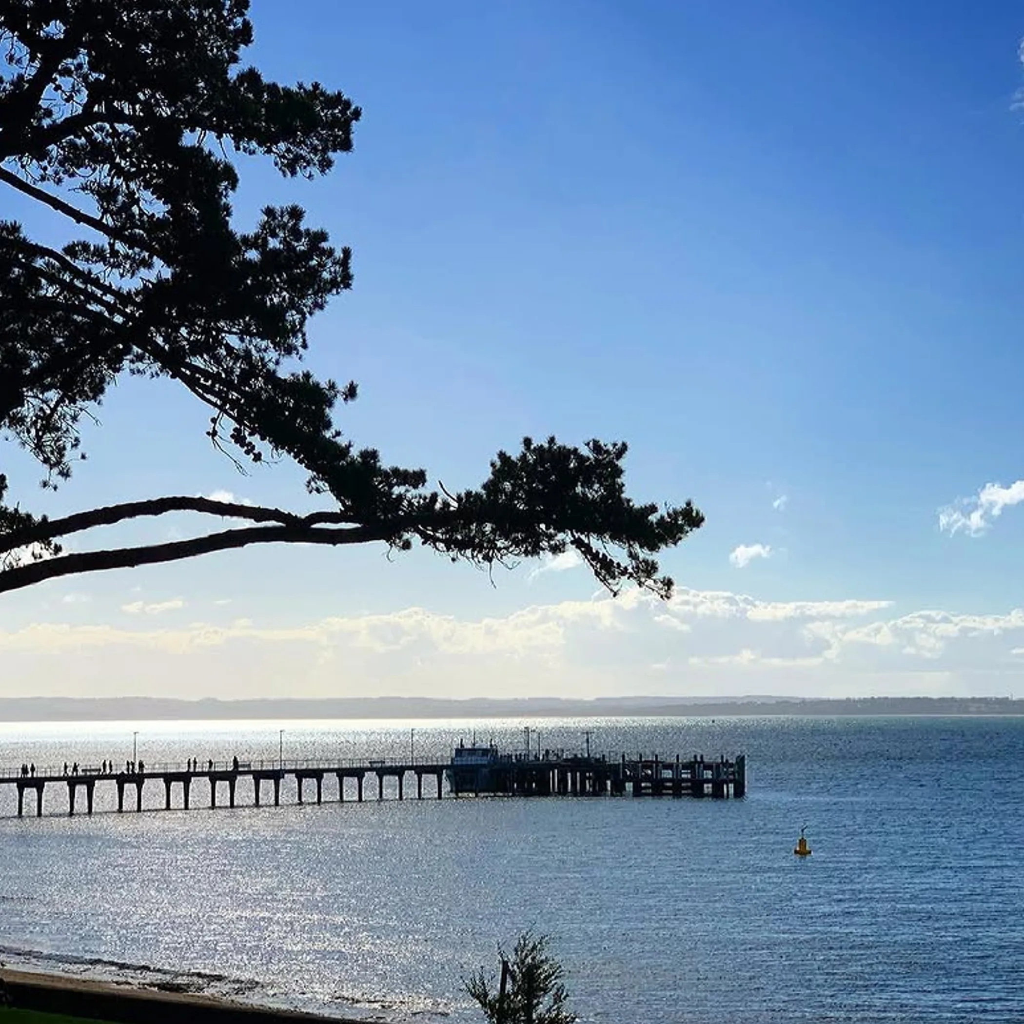 waterfront pier, beach, and ocean