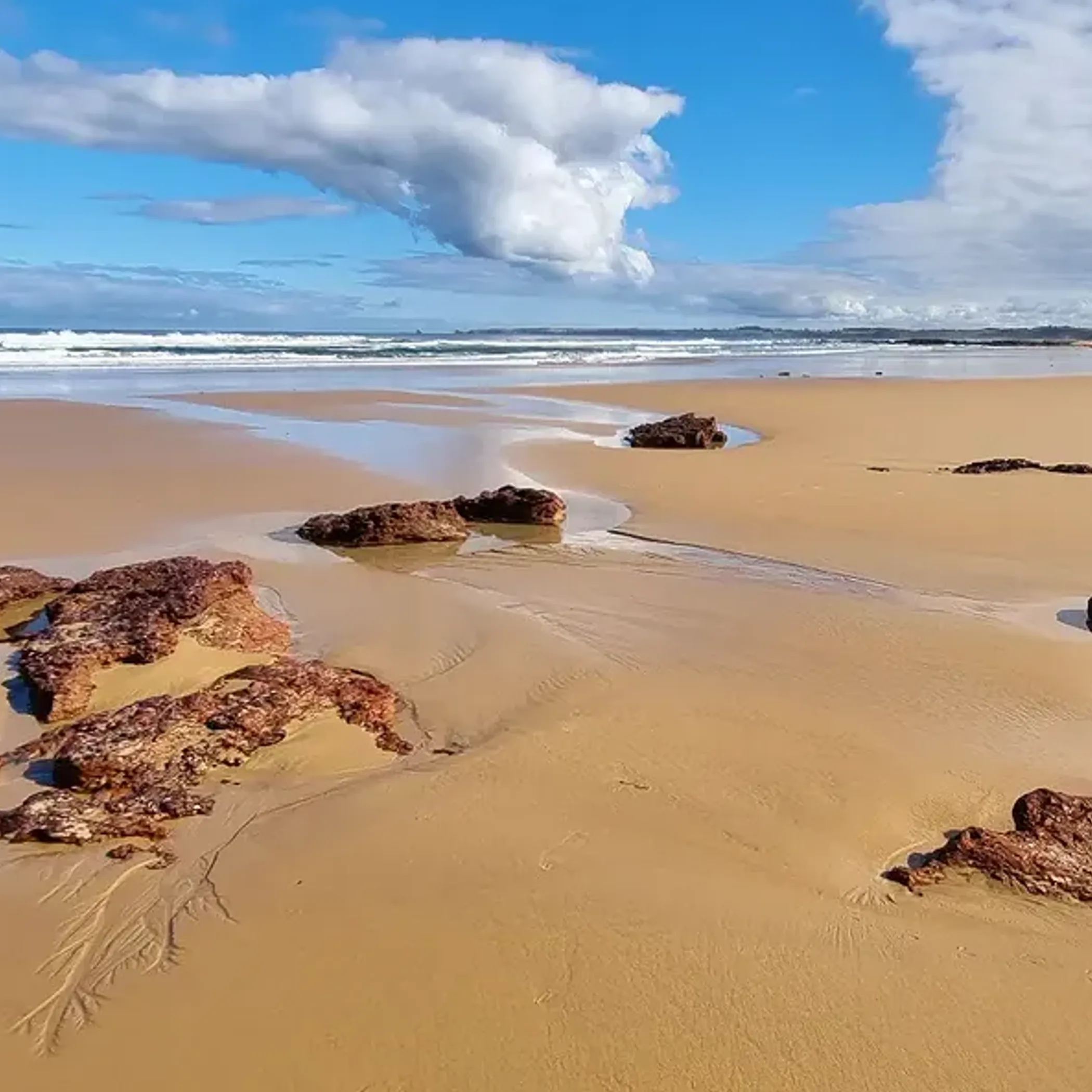 beach with dramatic skies